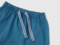 Shorts with animal embroidery - ucb_image_DS1