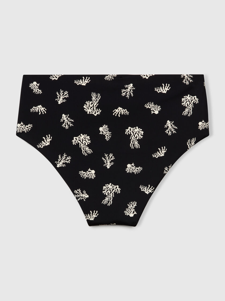 SWIMMING BRIEFS Women image number 2