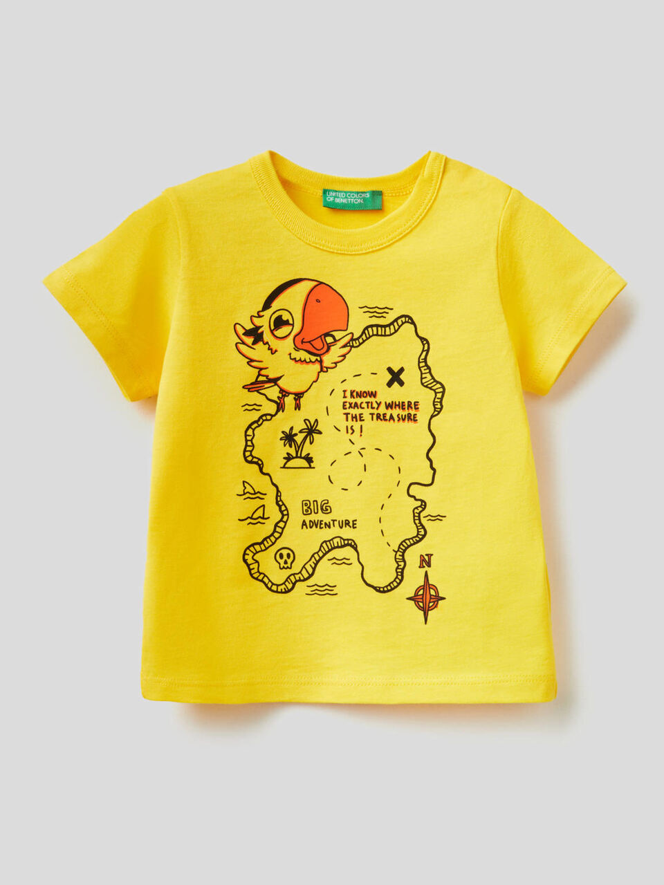 100% cotton t-shirt with maxi print image number 1